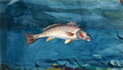 Channel Bass by Winslow Homer